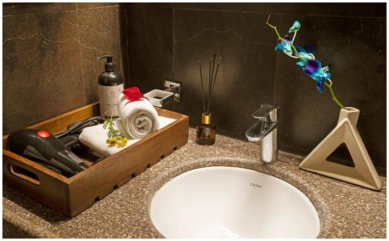 Luxury Heritage Umaid 3BHK Apartment Jodhpur - image 16