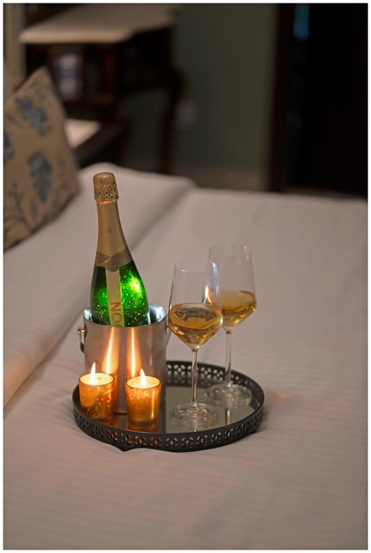 Luxury Heritage Umaid 3BHK Apartment Jodhpur - image 4