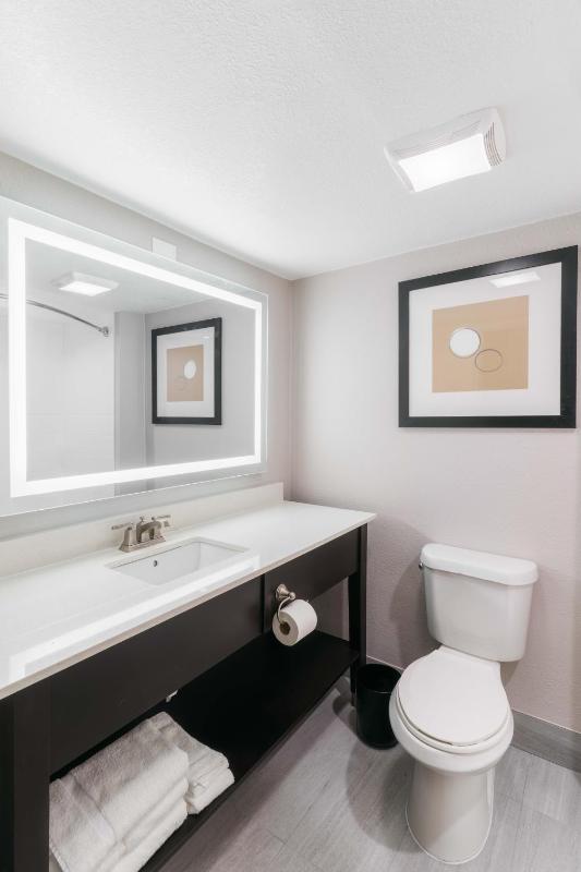 Standard King Room image 2