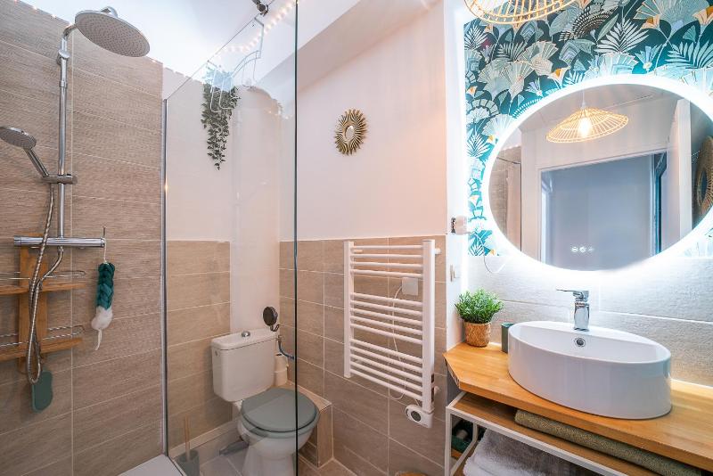 Le Cosy Perpignan Centre fully air conditioned apartment  2 rooms 2 bathrooms free WIFI free parking lift central - image 38
