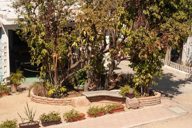 Peace Hostel MX - image 5