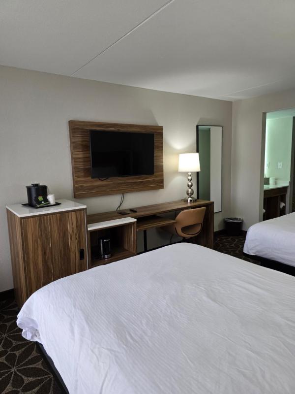 Double Room image 4