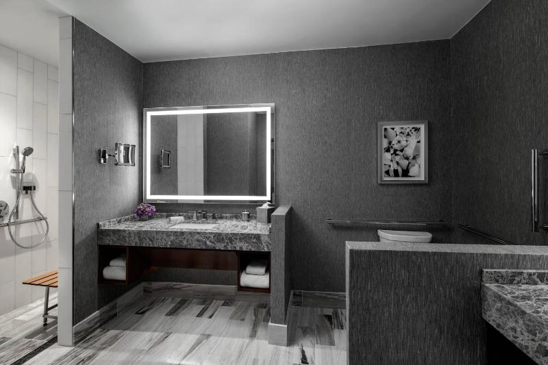 Executive King Suite with Sofa Bed image 4
