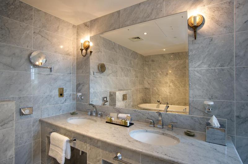 Deluxe King Suite image 4