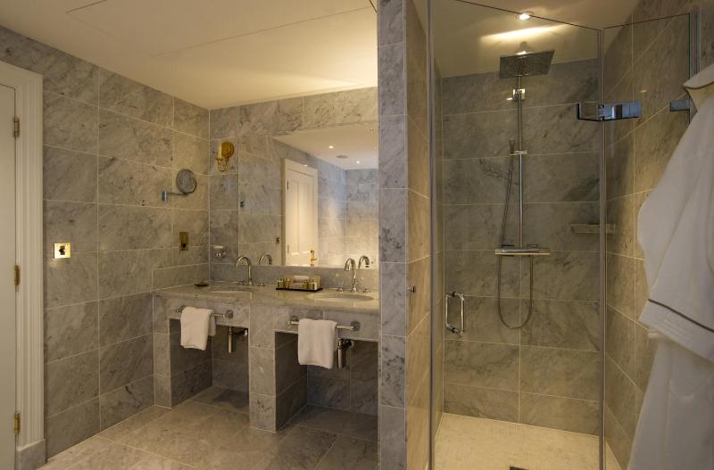 Deluxe King Suite image 2