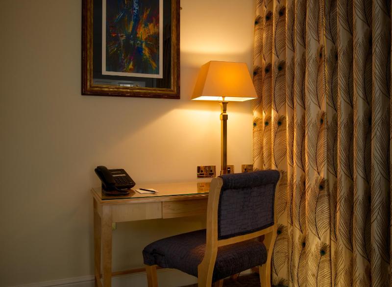 Deluxe King Suite image 2