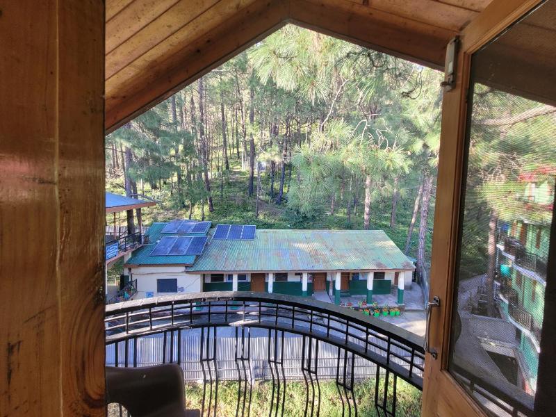 Pine Paradise Homestay - image 4