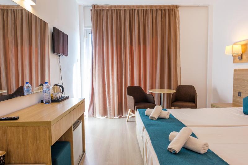 Standard Twin Room image 3