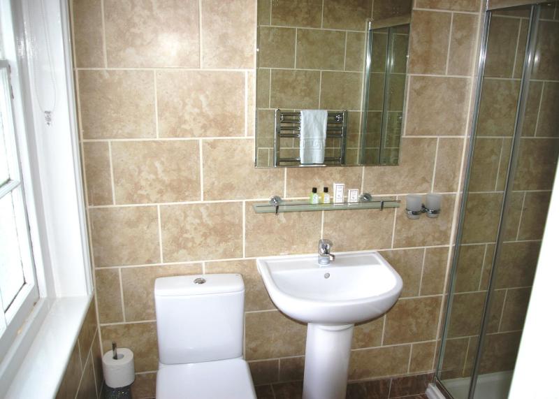Double or Twin Room image 4