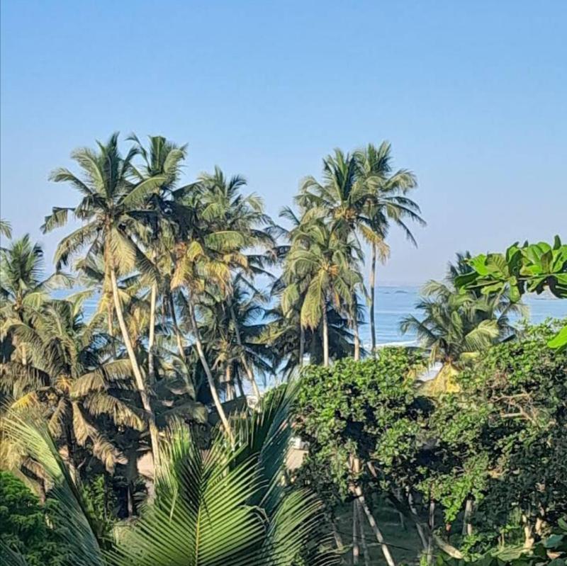 Imon Lanka Beach Hotel - image 6