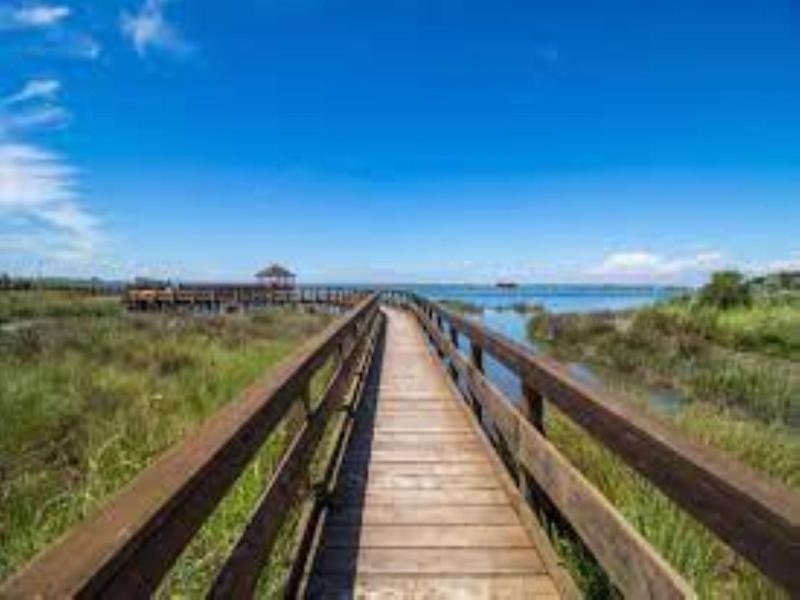 Lovely flat on the shores of Rosolina Mare - image 19