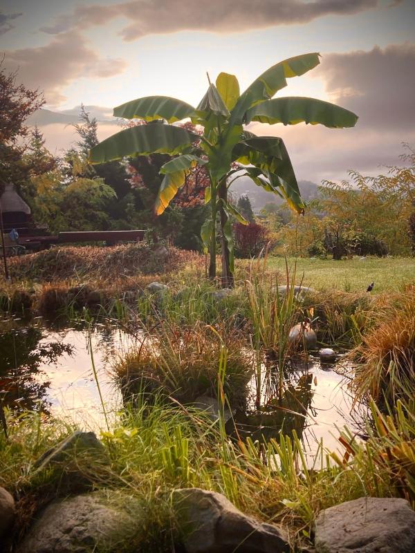 Studio - Disability Access image 4