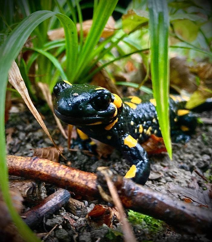 Studio - Disability Access image 3