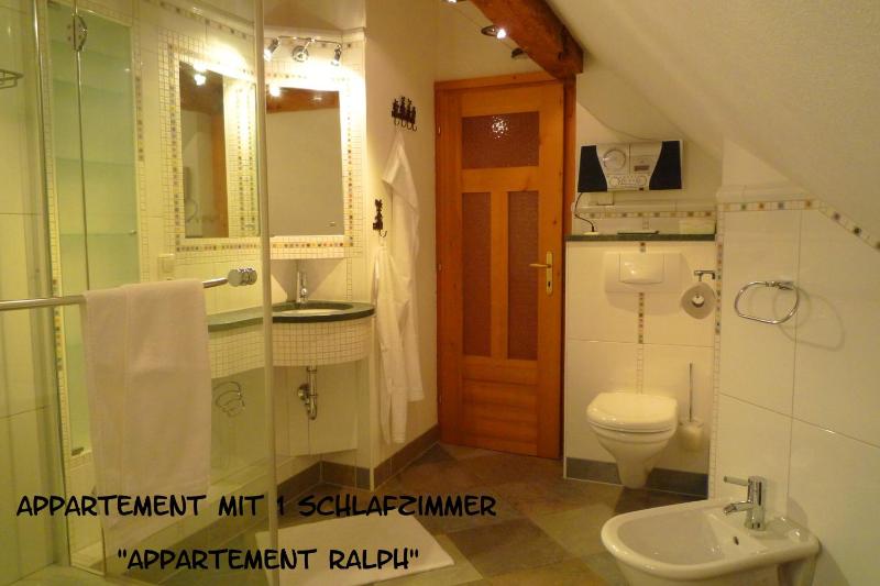 One-Bedroom Apartment image 4
