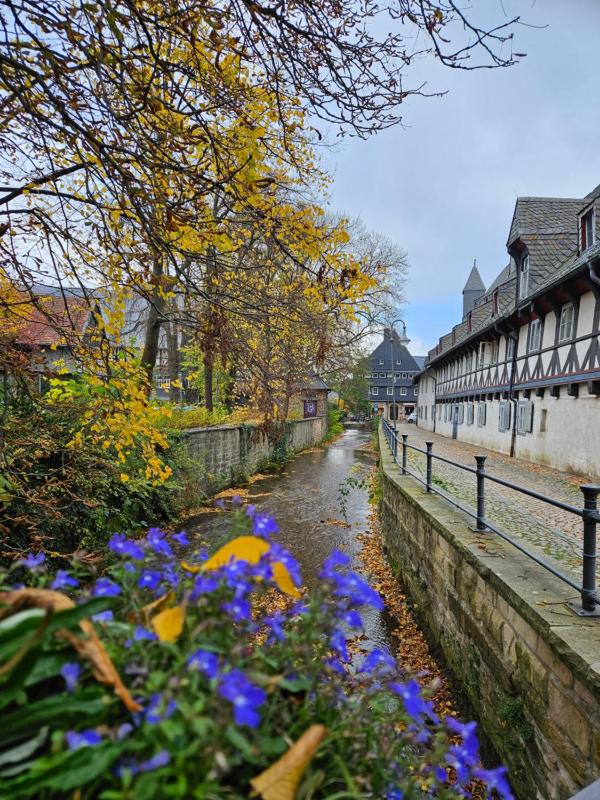 Ferienwohnung Dehn im historischen Ritter Ramm - image 12