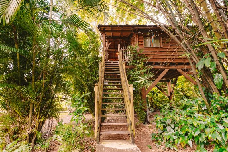 West Indies Cottage cottages haut de gamme avec piscine jacuzzi et vue jungle - image 2