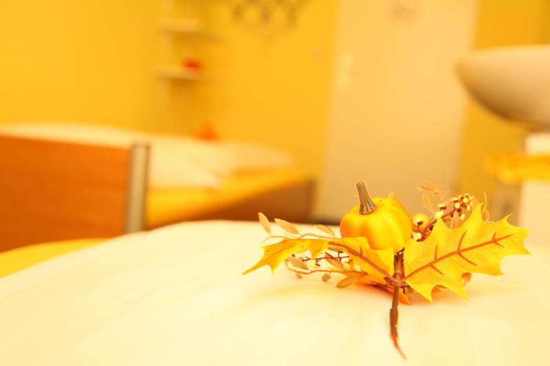 Double or Twin Room image 4
