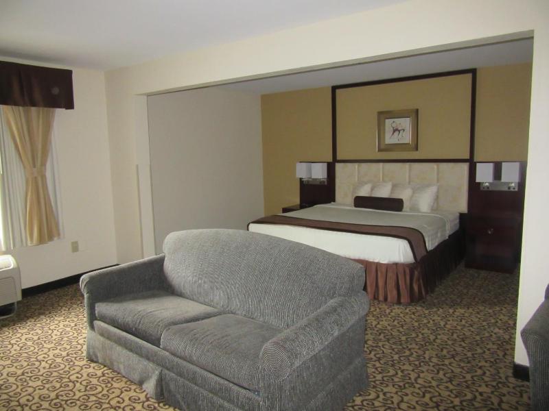King Studio Suite - Non-Smoking image 3