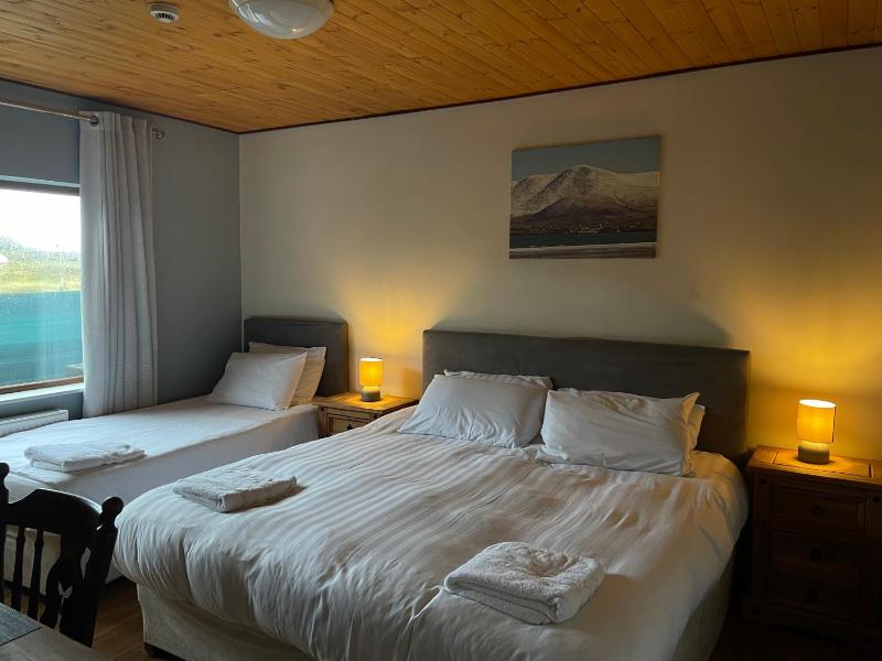 Deluxe Double Room image 1