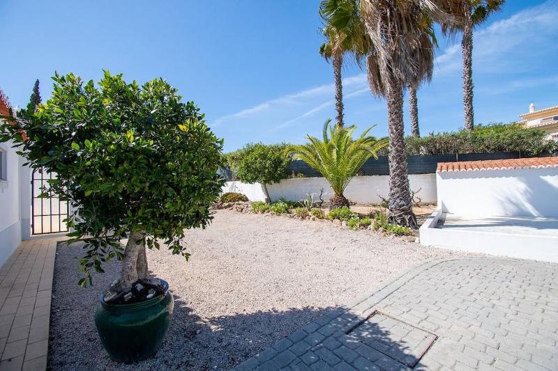 Pomba beautifully renovated with heated pool! - image 18