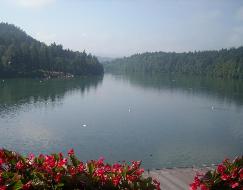 Double Room with Balcony and Lake View image 4