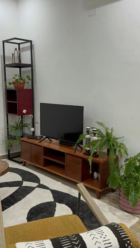 Oasis urbaine - image 9