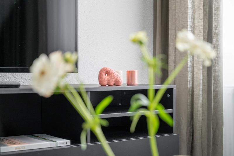 BodenseeApartment Stube - image 8