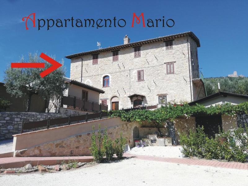 Appartamenti Cardinali - image 3