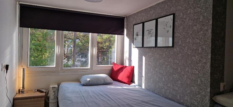 Small Single Room image 3