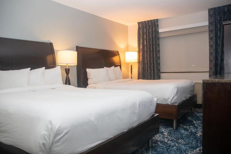 Luxury Room 2 Queens Non- Smoking Newly Renovated  image 1