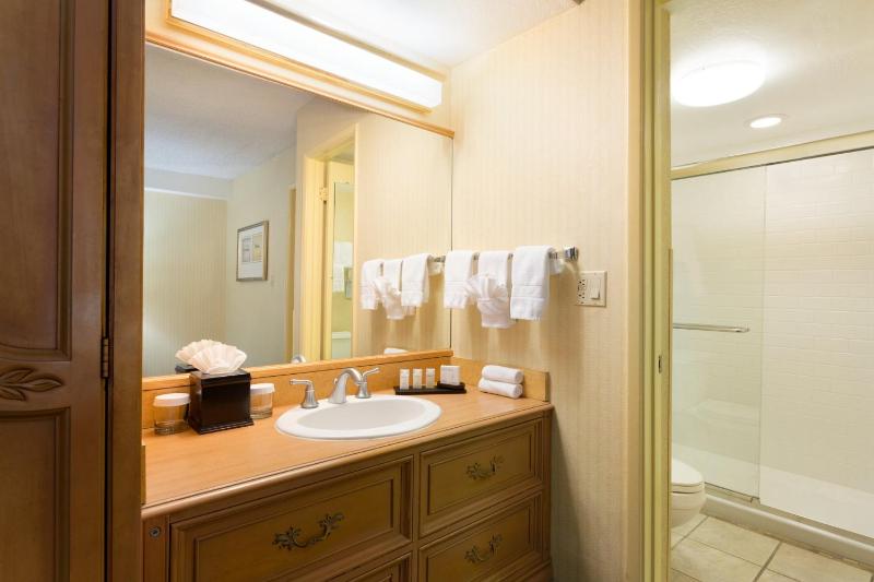 Standard Double Suite image 3