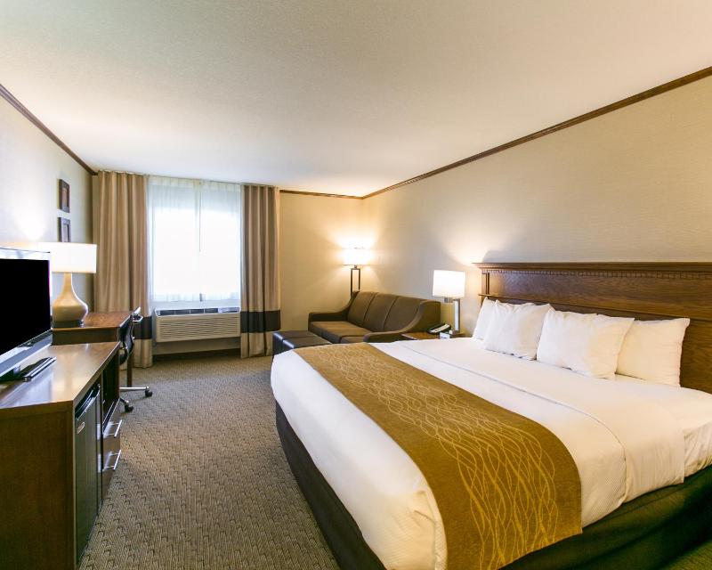 King Room - Non-Smoking (4 Adults) image 2