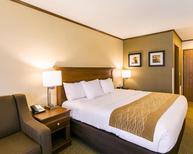 King Room - Non-Smoking (4 Adults) image 4
