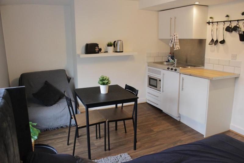 Superb Studio Flats in City Centre - image 2