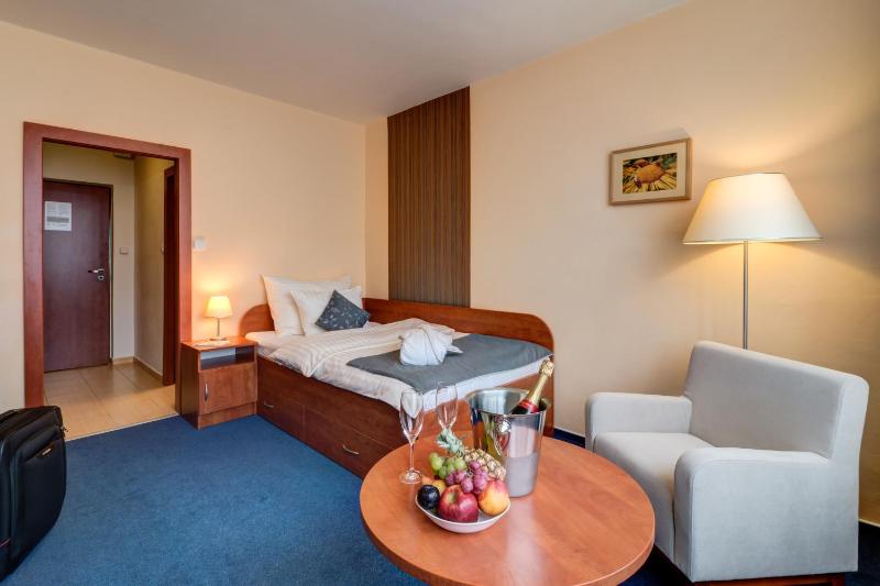 Deluxe Single Room image 2