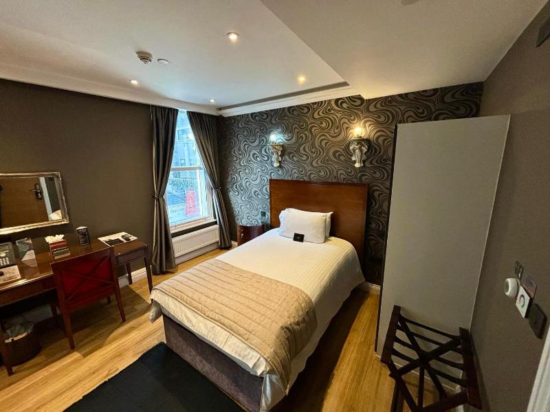 Deluxe Single Room image 2