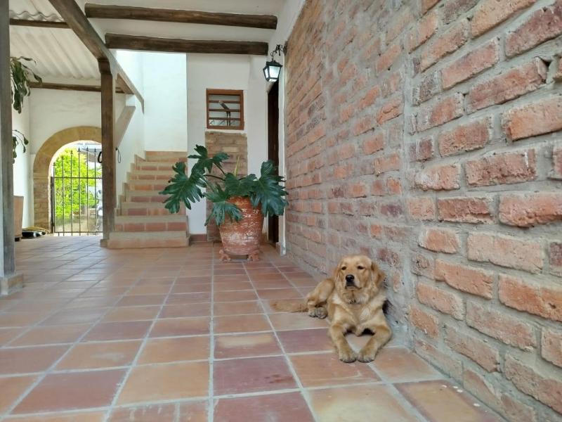 Apartamento ALTAMIRA de la VILLA de Leyva - image 10