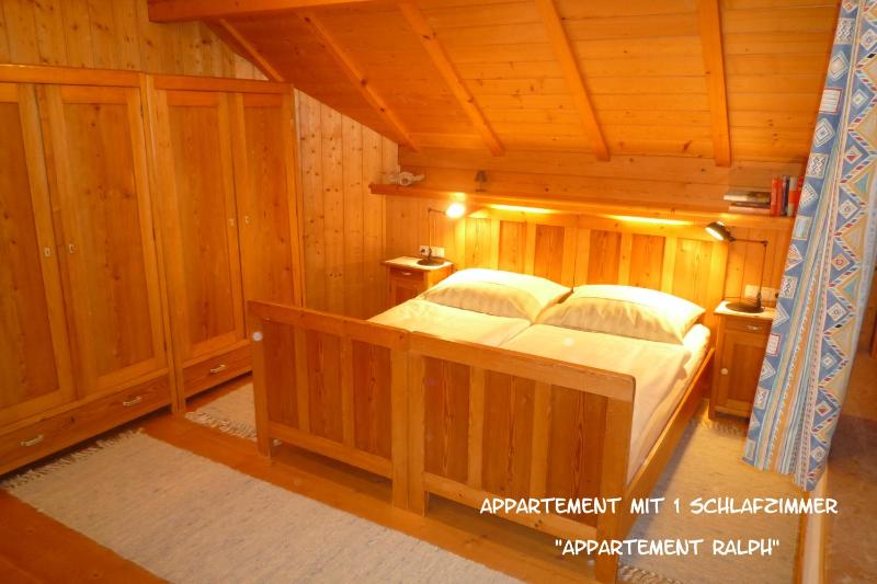 One-Bedroom Apartment image 3