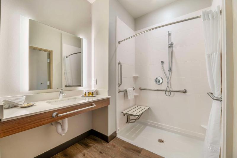 King Room with Mobility Accessible Roll-In Shower image 2