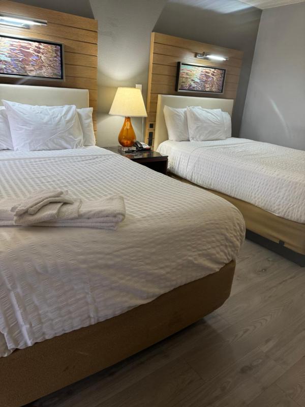 Double Room - Disability Access image 1
