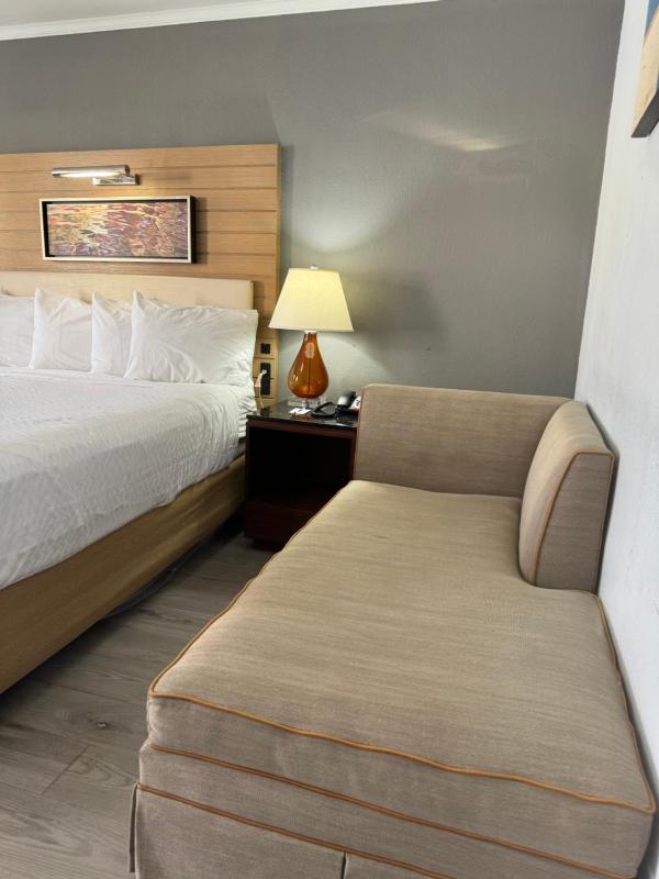 King Room - Non-Smoking image 4