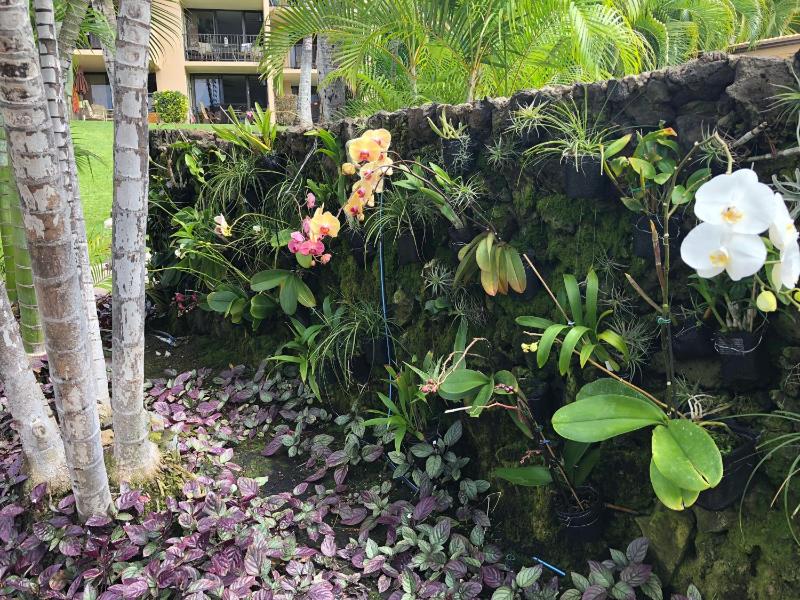 Gorgeous Luxury Ocean View 1 Bedroom Kamaole Sands 10-304 - image 7