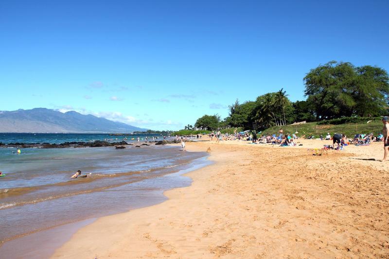 Gorgeous Luxury Ocean View 1 Bedroom Kamaole Sands 10-304 - image 15