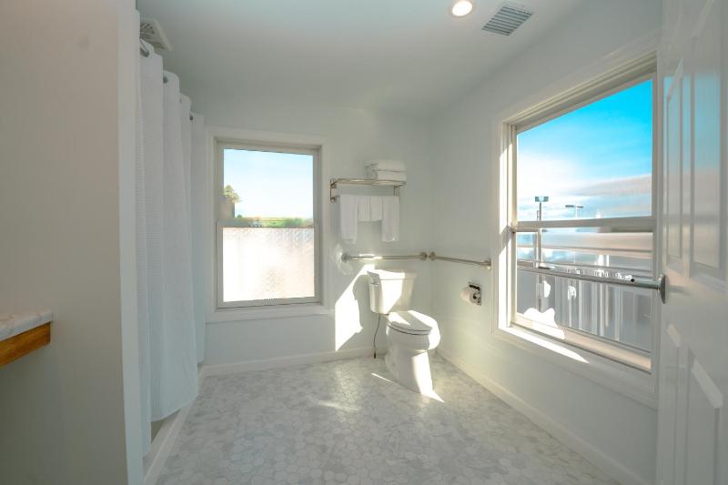Deluxe King Suite image 3