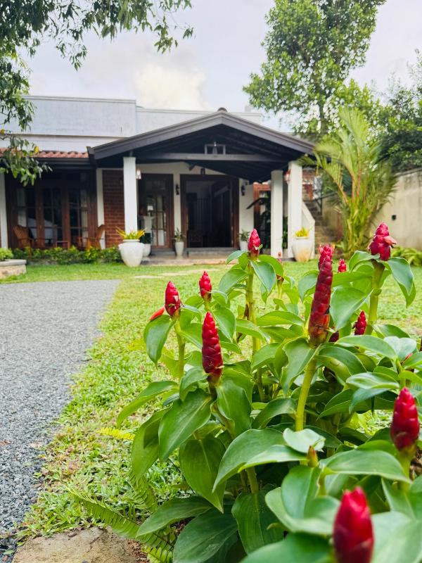 Nivartana Villa and Purana Ayurveda Center - image 40