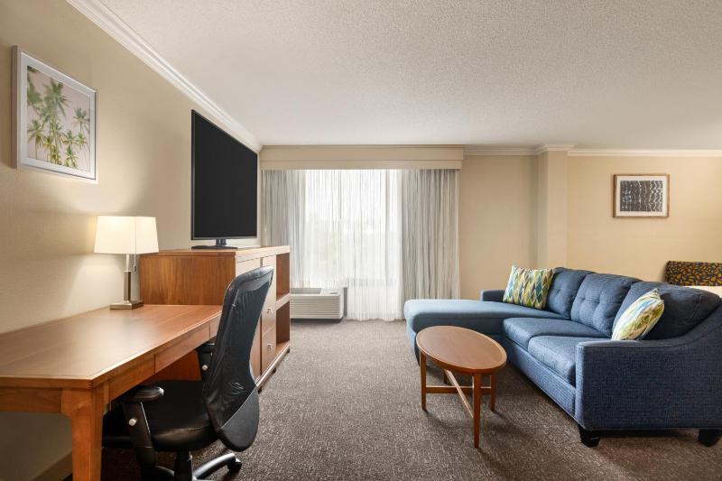 King Studio Suite image 4