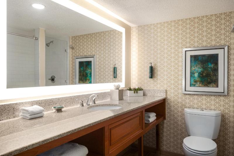 King Studio Suite image 3