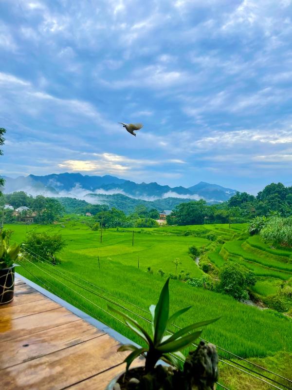 Hiếu Hương Homestay - image 45