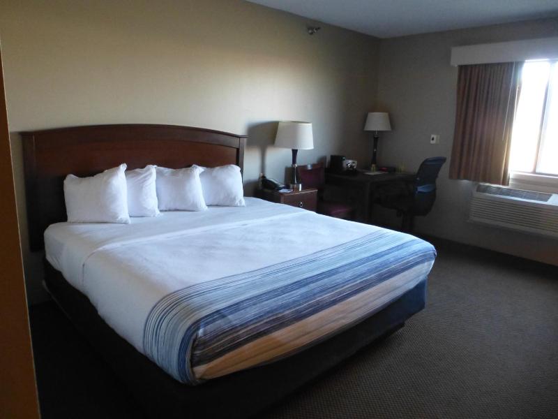 Deluxe King Suite - Non-Smoking image 3