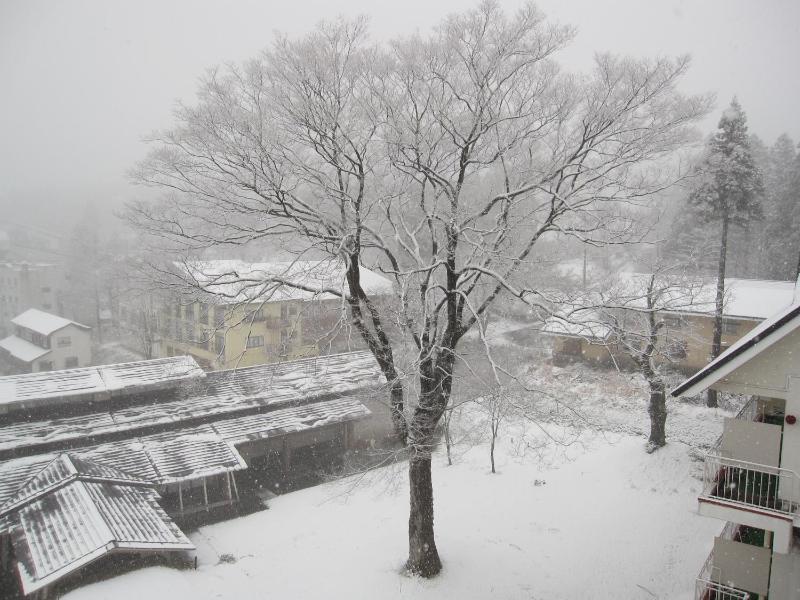 Akakura Hotel - image 43